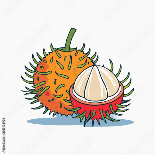 Illustration of Rambutan Fruit