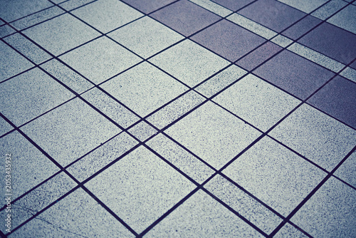 Tableau sur toile 石材ブロックの歩道