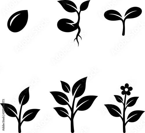 Plant growth stages seedling development icon set