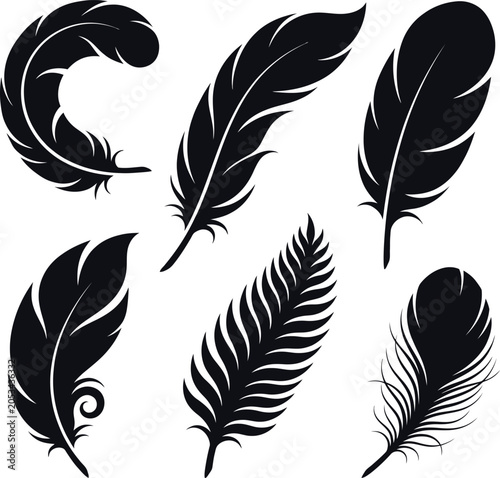 Collection of various bird feathers in silhouette style