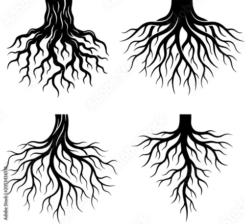 Collection of detailed tree root system silhouettes
