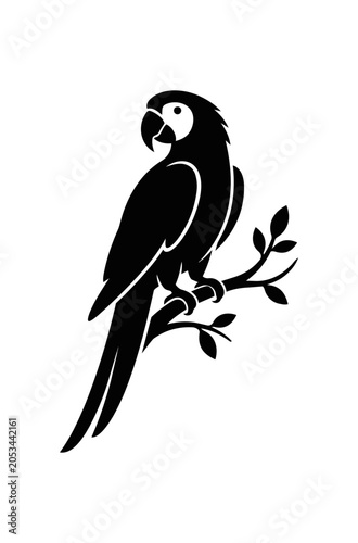 Silhouette of a Macaw Parrot Perched on a Branch.