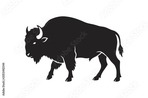 Silhouette of a majestic American Bison walking forward.
