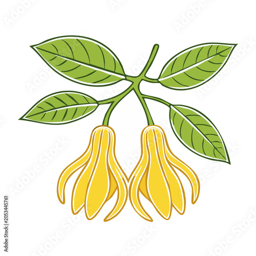 Vanilla flower with green leaves