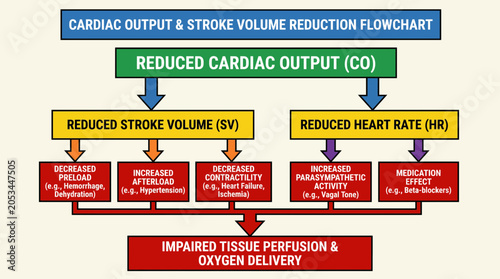 Принти на полотні Cardiac Output and Stroke Volume Reduction Flowchart