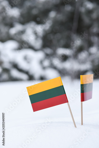 Small Lithuanian flags planted in fresh snow with a blurred winter forest background.