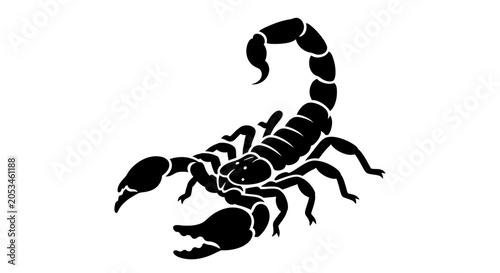 Foto Black scorpion silhouette