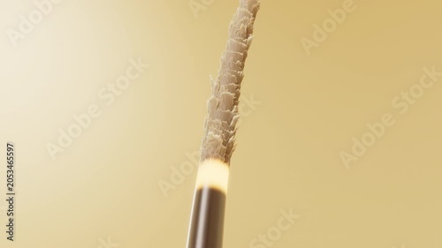 3D animation showing nutrient capsules attaching to a dry hair strand and gradually absorbing. The hair surface transforms from rough and dull to smooth and glossy in macro view.