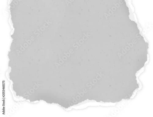 Torn Paper with Grey Texture for Scrapbook
