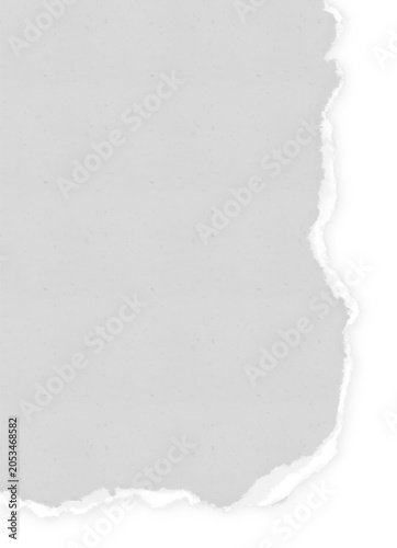 Torn Paper with Grey Texture for Scrapbook