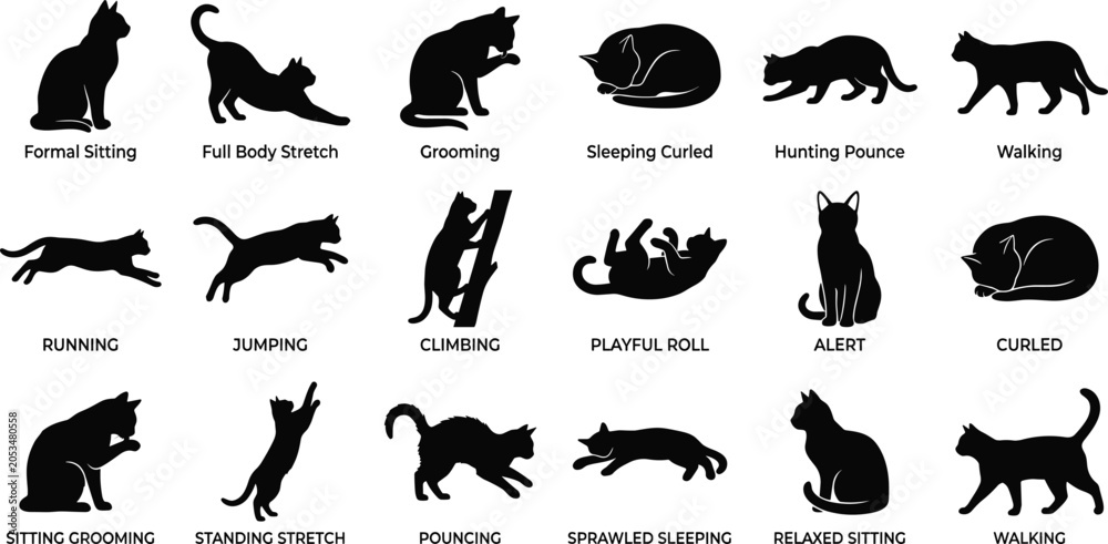 Fototapeta premium Cat activity silhouette vector illustrations showing feline poses, grooming, sleeping, hunting, stretching, and playful movements