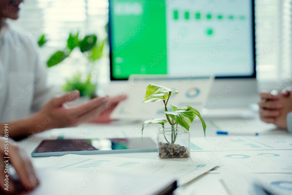 Fototapeta premium Business people analyzing ESG performance and eco friendly investment data with a green plant on the desk, symbolizing growth