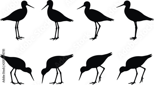 Tableau sur toile Sandpiper shorebird silhouettes set standing and feeding on beach vector flat il