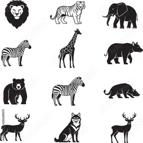 Photography wild animals collection