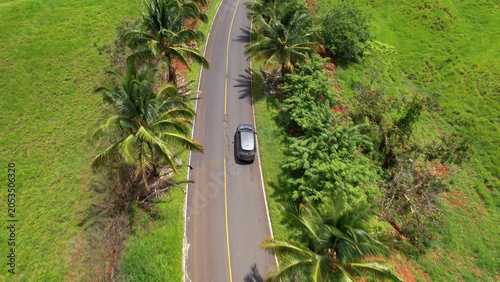 Foto AERIAL: Driving among palm trees in beautiful tropical landscape on a sunny day