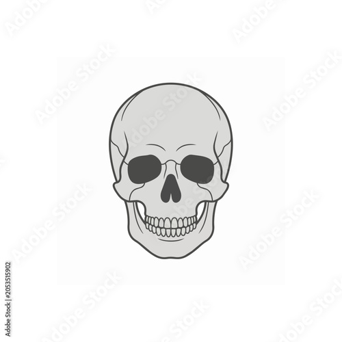 Human Skull Front View Simple Line Art.