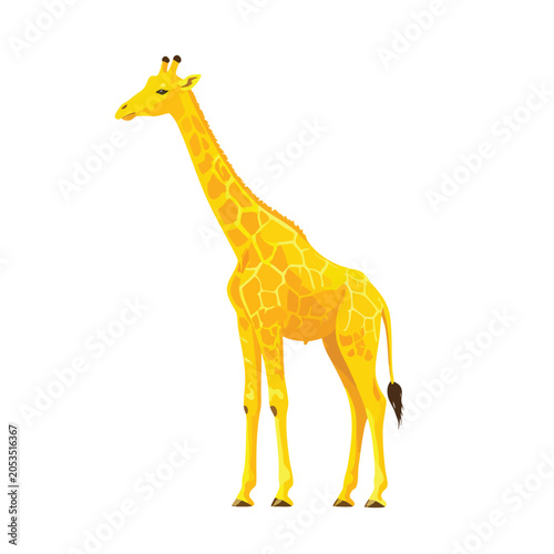 A detailed illustration of a tall yellow giraffe standing on a white background.