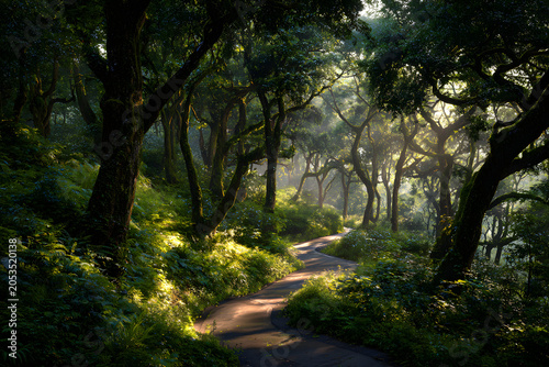 Sun-dappled forest path winding through lush green trees and glowing grass, inviting a tranquil journey into nature's heart, with warm light highlighting the scene.