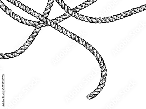 Fotografie Hand-Drawn Nautical Rope Illustration - Black and White Engraving Style Intertwi
