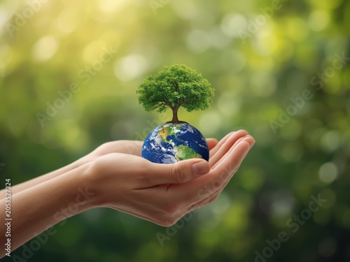 Human hands holding a small planet earth globe with a green tree growing on top against a soft blurred forest background