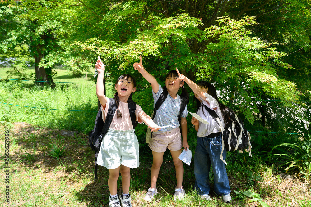 Fototapeta premium 新緑の自然の中で地図を手に上を指差して発見を喜ぶ女子小学生のグループ