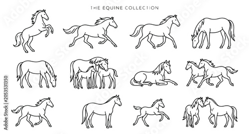 Foto Minimalist horse line art illustrations, equine collection of 12 vector icons, e