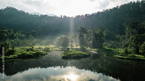 Fotografie Aerial view of dense green forest and reflective lake, promoting tranquility and natural beauty