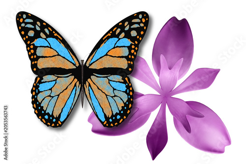 PNG. Illustrazione 3D. Primavera, estate. Fiore e farfalla su sfondo trasparente . Fiore e farfalla , sullo sfondo trasparente.