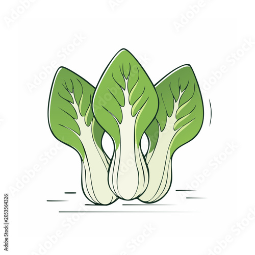Sketch of Bok Choy