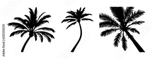 Palm tree set with black silhouette design featuring tropical, summer, island with nature and vacation elements