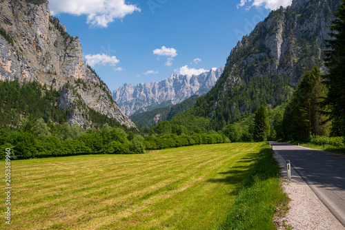 Scenic road and meadow below limestone peaks in Gesäuse National Park Austria