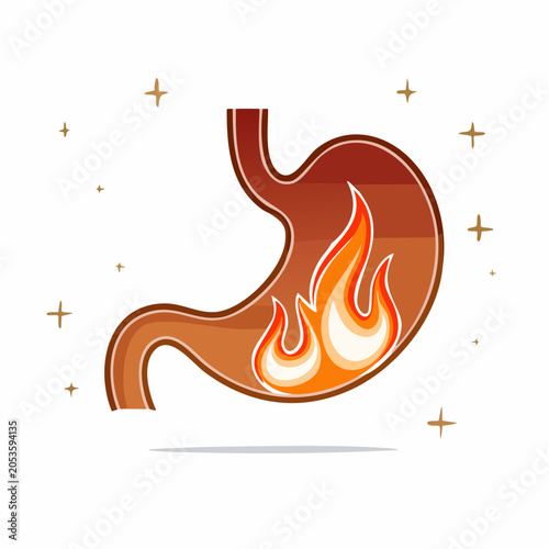 Stomach with Flames Illustration
