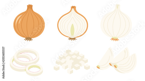 Canvas Print Set of whole and sliced onion pieces in simple vector style
