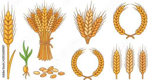 Konstfotografi Golden wheat agriculture and harvest vector elements set featuring ears of barle