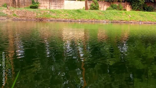 Green lake water rippling with tree and wall reflections