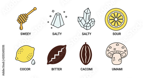 Basic Taste Flavors Icons: Sweet, Salty, Sour, Bitter, Umami, Cocoa