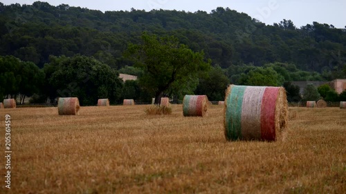 Hay bales in a countryside field. Panning 4K