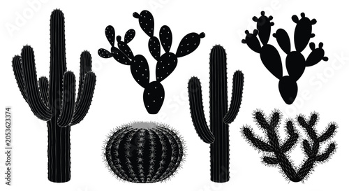Foto Black cactus plants on white background