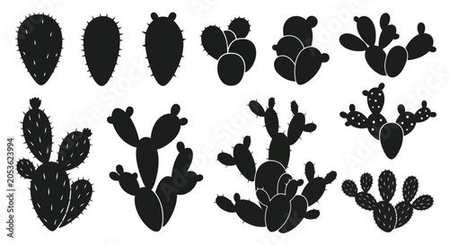 Fotografie Black cactus silhouettes on white background
