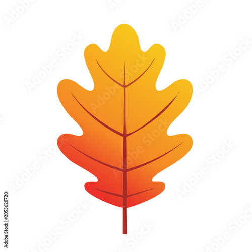 Orange and red oak leaf vector illustration