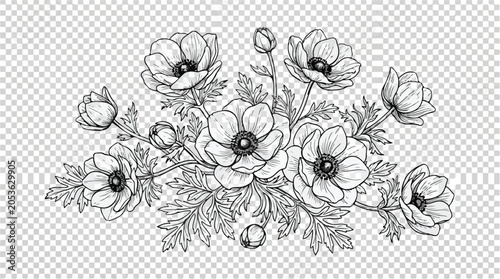 Vintage anemone flower bouquet vector, hand drawn botanical line art illustration, black and white floral arrangement for wedding invitations