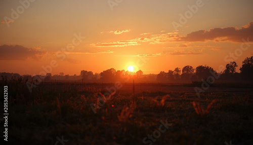 Golden Sunrise Over Rural Countryside Landscape with Morning Mist