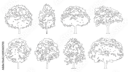 Foto Eight decorative trees in outline style, natural elements for design on transparent background