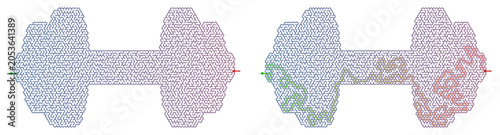 Konstfotografi Logic game with labyrinths featuring dumbbell shapes and solutions