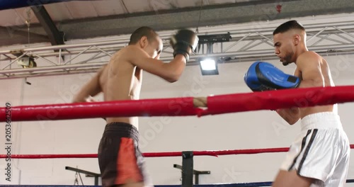 Two gloved sparring partners facing jab, trading kicks, jabs and hooks in boxing ring for training
