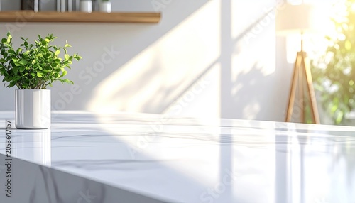 Fresh green plant on sunny marble counter in bright modern interior