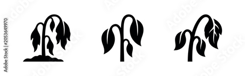 Photos Wilting plant icons set