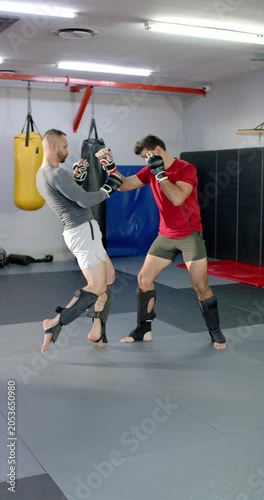 Diverse sparring partners trading front kicks, blocking with gloves, countering low kicks