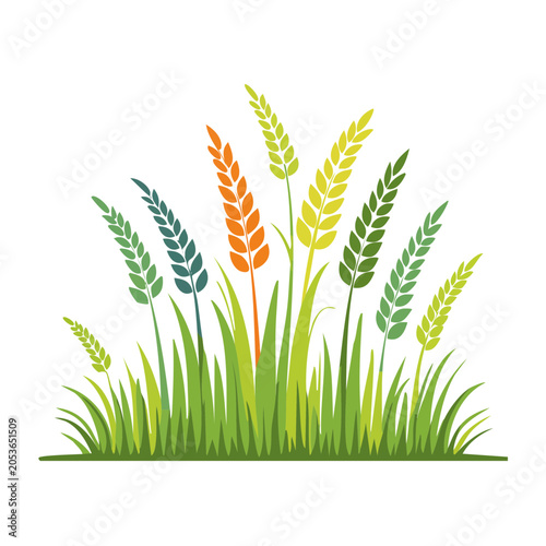 Colorful wheat and grass illustration