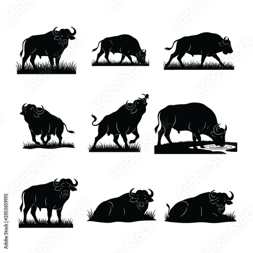 Wild Buffalo Silhouette Collection Diverse Poses
